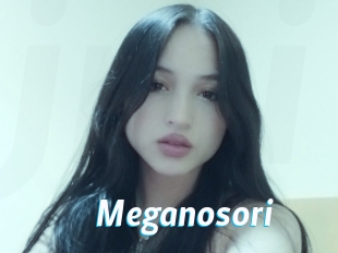 Meganosori