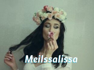 Meilssalissa