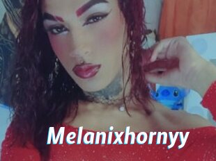 melanixhornyy J Mine