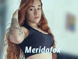 Meridafox