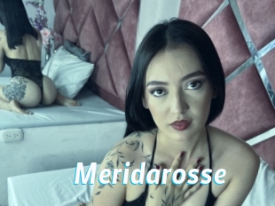 Meridarosse