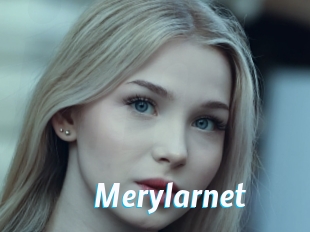 Merylarnet