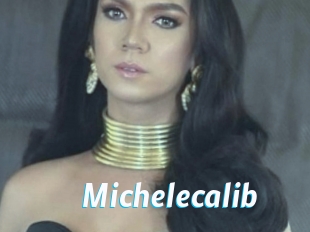 Michelecalib