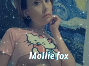 Mollie_fox