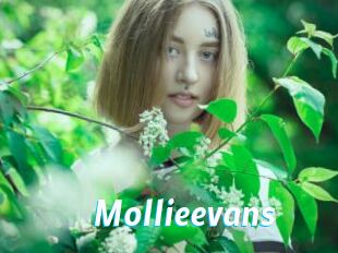 Mollieevans