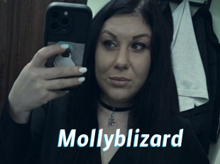 Mollyblizard