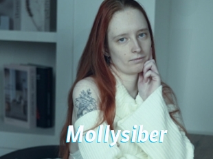 Mollysiber