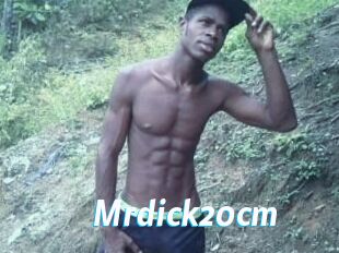 Mrdick20cm