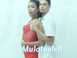 Mulataaleh