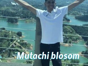 Mutachi_blosom