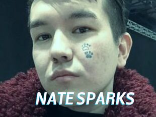 NATE_SPARKS