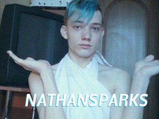 NATHAN_SPARKS