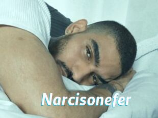 Narcisonefer
