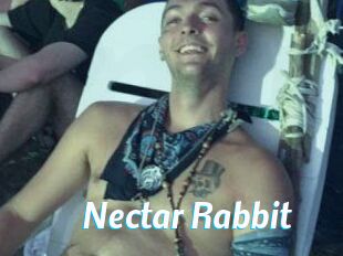 Nectar_Rabbit