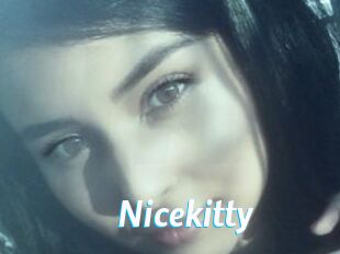 Nicekitty