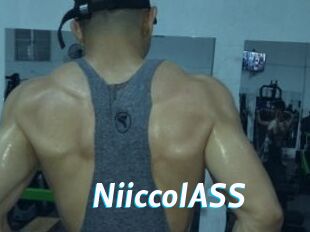 NiiccolASS