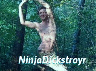 NinjaDickstroyr