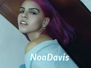 NoaDavis