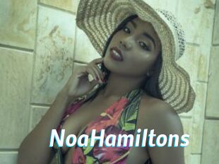 NoaHamiltons