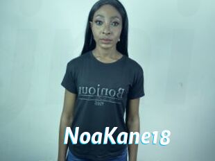 NoaKane18