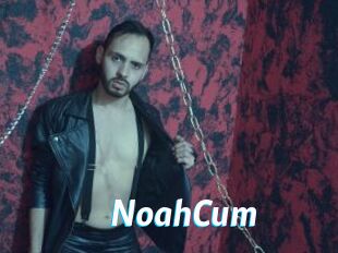 NoahCum