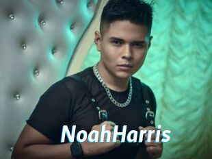 NoahHarris