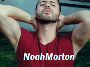 NoahMorton