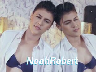 NoahRobert