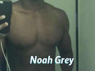Noah_Grey