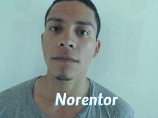 Noren_tor