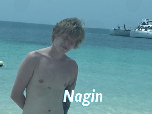 Nagin