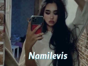 Namilevis
