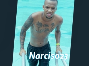 Narciso23