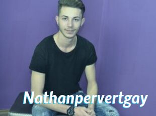 Nathanpervertgay