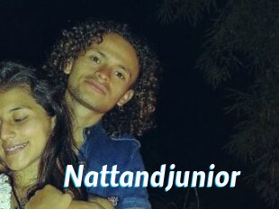 Nattandjunior