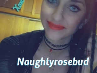 Naughtyrosebud