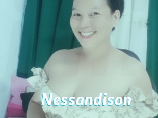 nessandison J Mine