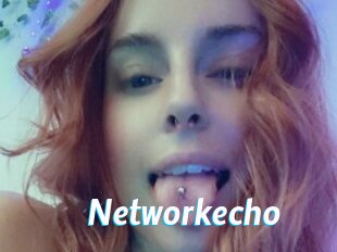 Networkecho