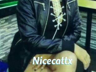 Nicecattx