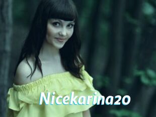 Nicekarina20