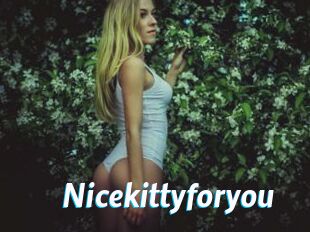Nicekittyforyou