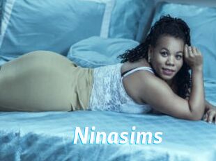 Ninasims