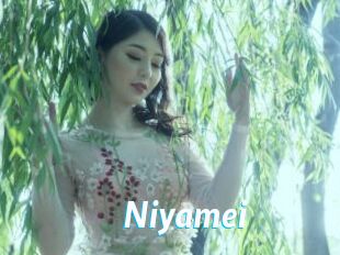 Niyamei