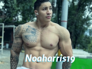 Noaharris19