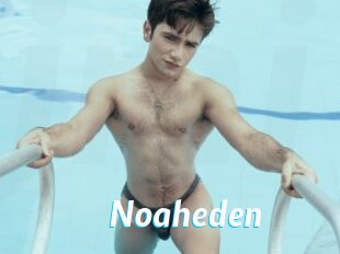 Noaheden