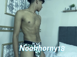 Noahhorny18
