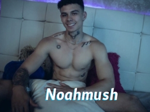noahmush J Mine