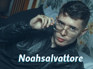 Noahsalvattore