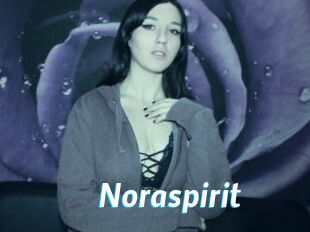 Noraspirit