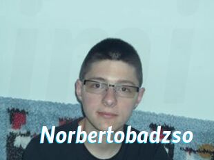 Norbertobadzso